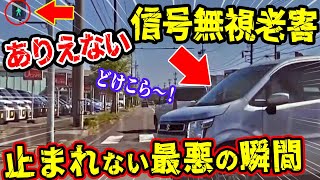 【ドラレコ】信号無視して突っ込んでくるありえない老害1秒後…【交通安全推進、危機予知トレーニング】【スカッと】