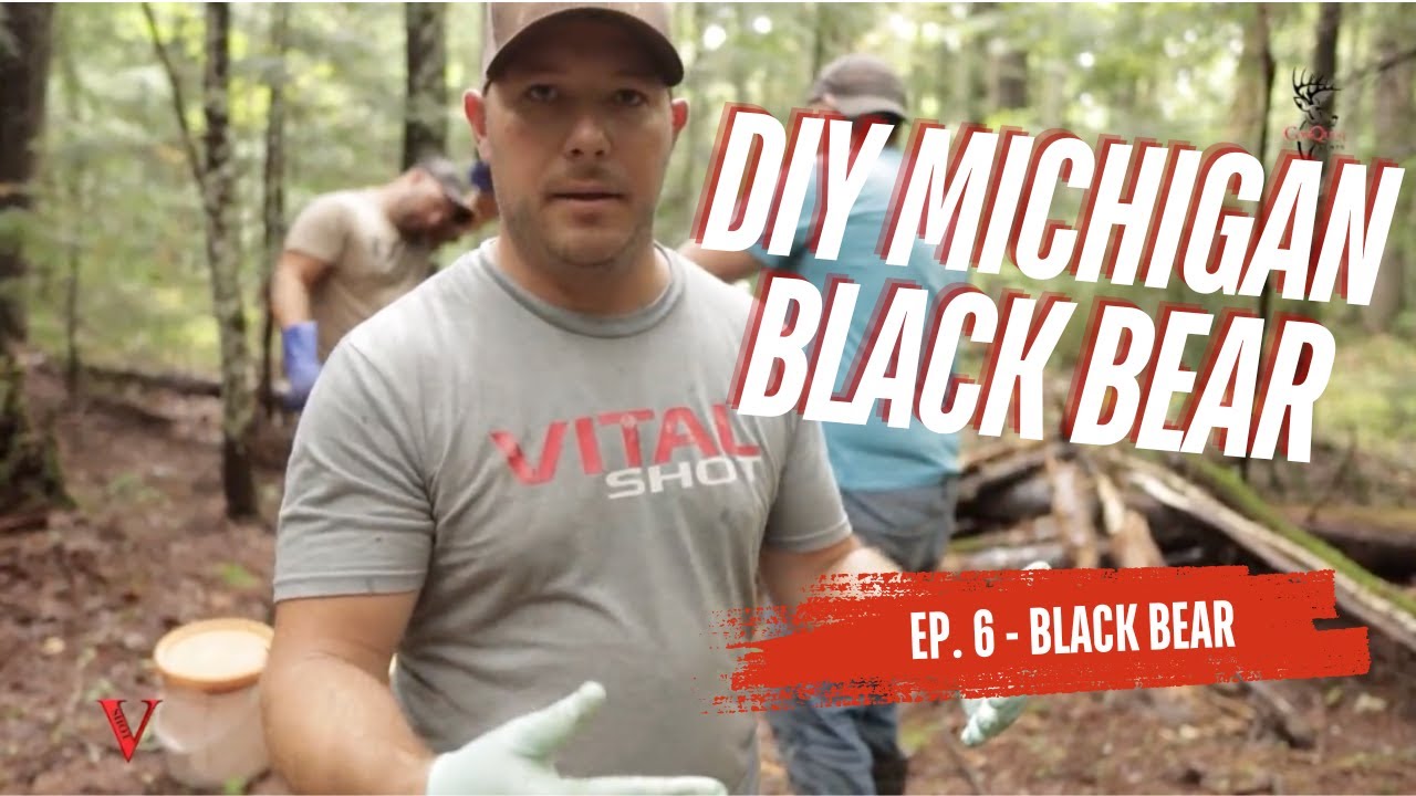 Michigan Black Bear Hunt - DYI