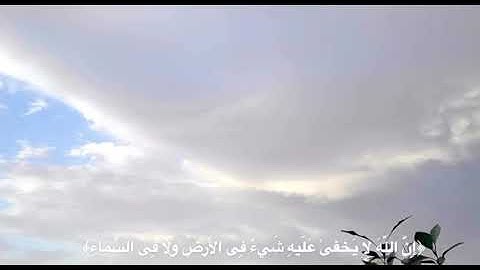 القارئ عبدالرحمن مسعد  سورة آل عمران آية ٥-٦