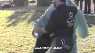 Police Dog Training with Sit Means Sit and the Las Vegas District Attorneys Office
