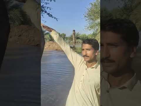 Funedit Nationalholiday Funnyvideo Comedy