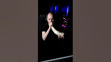 Viking Battle Horn Vikings Vikingmusic Valhalla 
