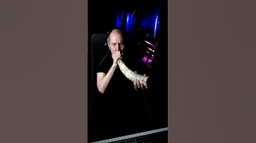 Thumbnail of Viking Battle Horn #vikings #vikingmusic #valhalla