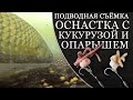 ОСНАСТКА С КУКУРУЗОЙ И ОПАРЫШЕМ ДЛЯ КРУПНОЙ РЫБЫ. Подводная съёмка