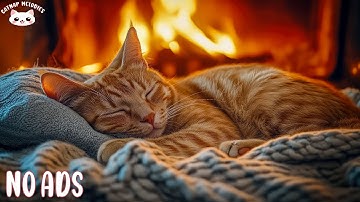 Calming Music for Cats With Anxiety 🐾🎵 Soothing Sounds For Deep Sleep, Healing Insomnia, Relaxing