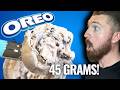 The Best High-Protein Ice Cream | Ninja Creami Recipes