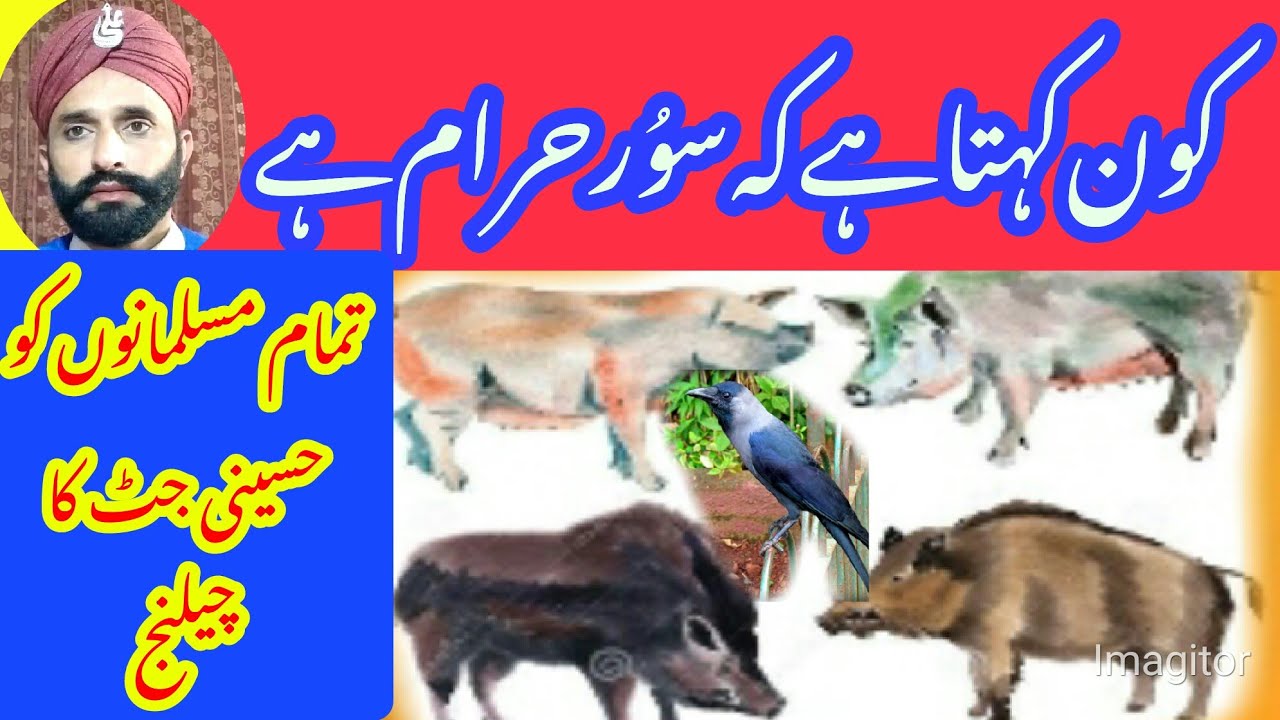 Soor Ka Gosht Soor Pig YouTube