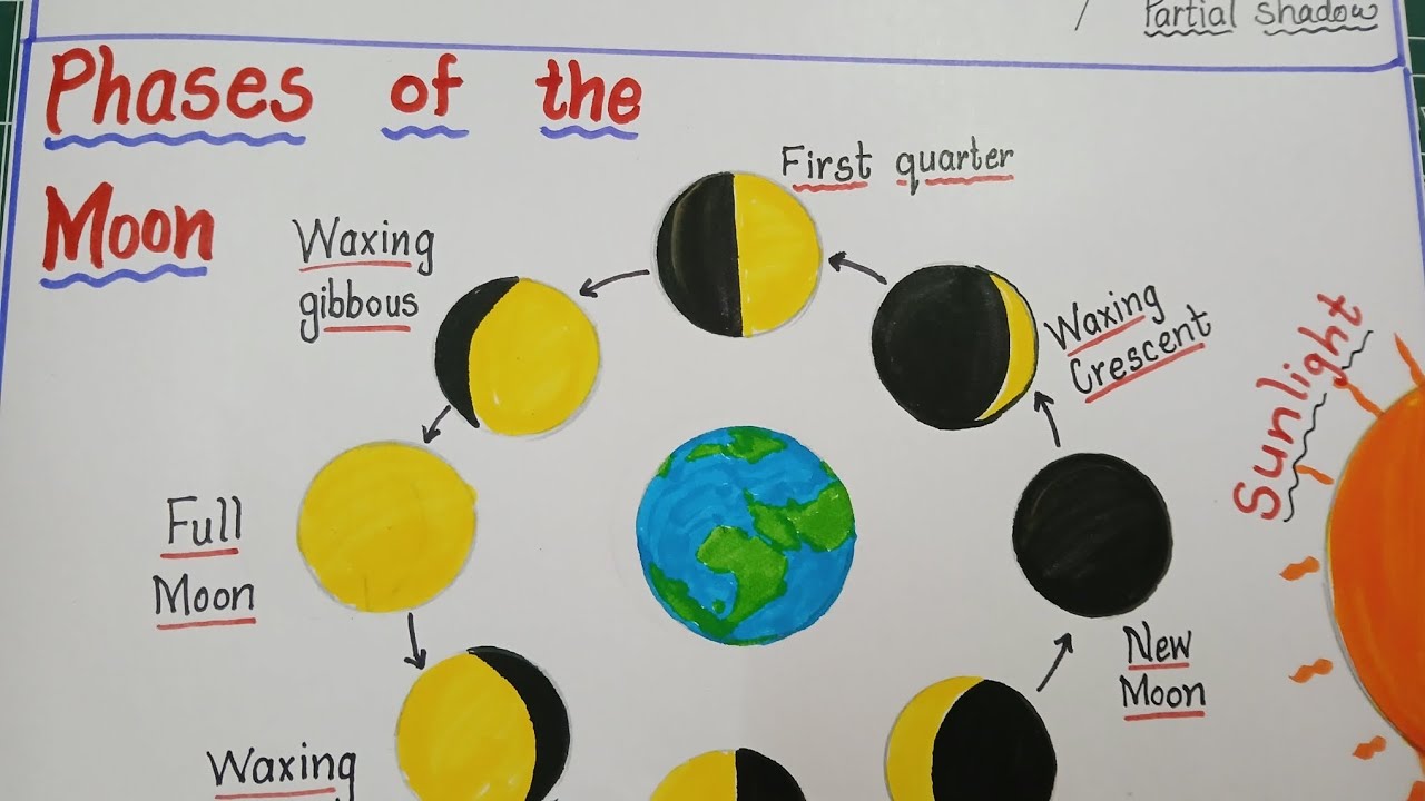 How to draw and explain phases of the Moon  / Phases of the Moon drawing and explanation 
