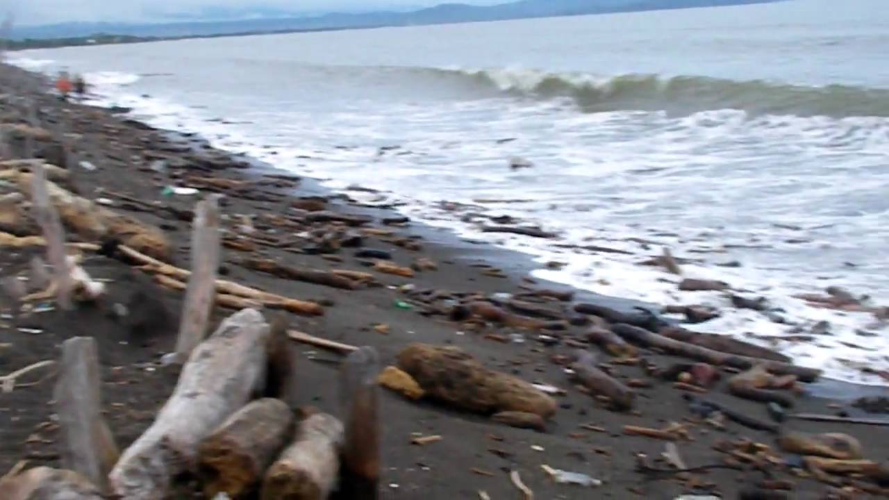 video phone beyonce mp3 Collecting driftwood in Puntarenas
