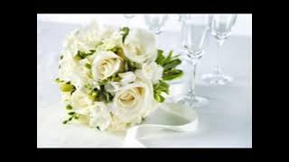 احمد دعسان   نورتى 2