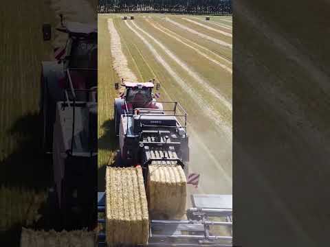 World Amazing Hay