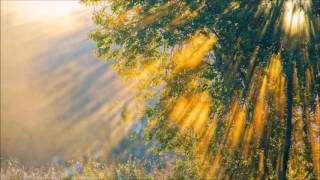 Interlude in G minor/Andrew Moore