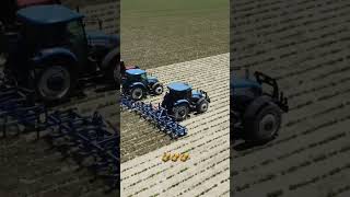 Peanut Yerfıstığı