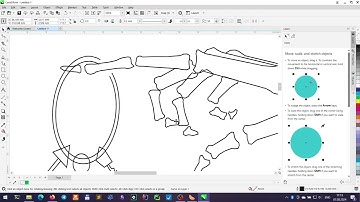 Drawing skeleton key line art in Corel Draw time lapse