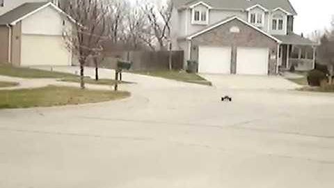 Rustler XL-5 speed runs on 8 cell