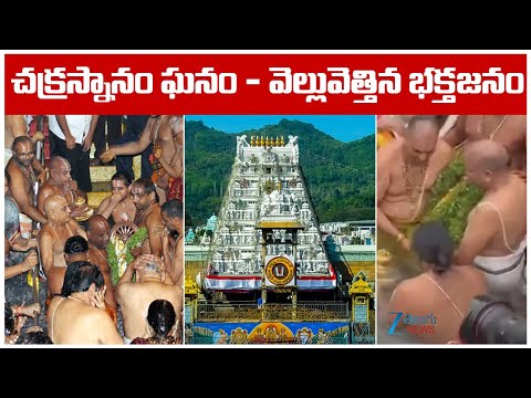 Srivari Chakrasnanam Tirumala Brahmotsavam | Tirumala Tirupati Temple | Zee Telugu News - ZEE24TELUGUNEWS