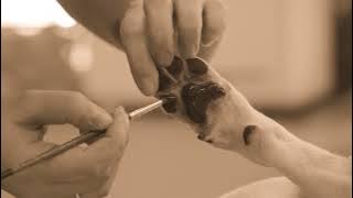 Cremation   Approved   15 secs