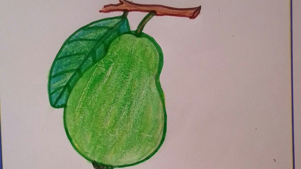 Featured image of post Bayabas Drawing Easy Grab a pencil some paper and a piece of fruit and follow along to see how easy it in this easy drawing lesson you ll create a relaxed sketch of a piece of fruit