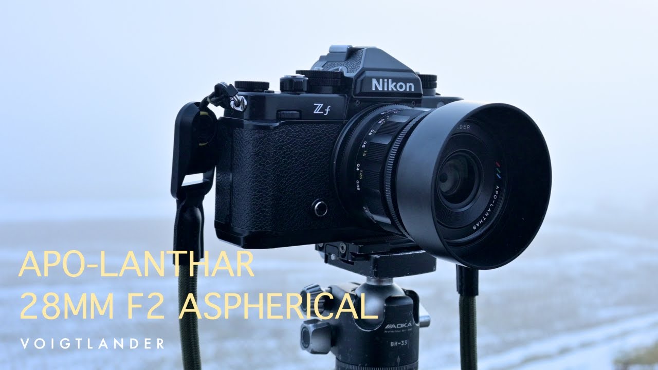 Nature Photography] Captivating depictions: Snap winter scenery