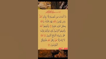 سورة(التغابن)بصوت القارئ الشيخ صلاح بوخاطر...💞😘💕🌹🍂