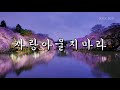 신경자 심금을 울리는 가슴시린 트로트 전곡 가사제공 4K