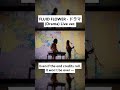 FLUID FLOWER 「Drama(ドラマ)」 Live Clip Highlight2 #acoustic  #Shorts #FLUIDFLOWER