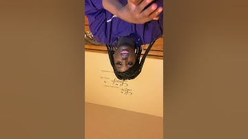 Animal Form and Function Video