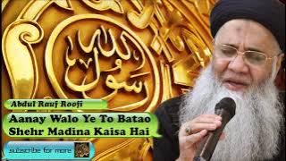Aanay walo ye to batao shehr madina kaisa aai - Urdu Audio Naat - Abdul Rauf Roofi