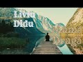 Liviu didu  mama draga official song