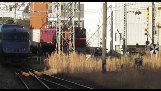 JR貨物 鹿児島中央駅　ED76 1021形機関車が牽引する。 JR九州 鹿児島中央駅～宮崎駅787系　きりしま14号（6014号）    撮影日2021 10 26