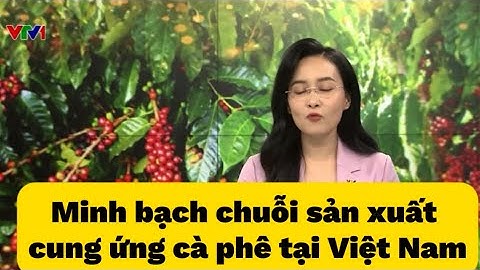 Minh bạch chuỗi cung ứng cà phê tại Việt Nam 2023