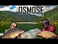 OSMOSE - Pêche en Lac de barrage - Pêche à la carpe