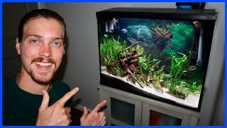 First AQUARIUM At My NEW HOUSE! by Carson’s Aquatics 14,097 views 1 year ago 10 minutes, 14 seconds