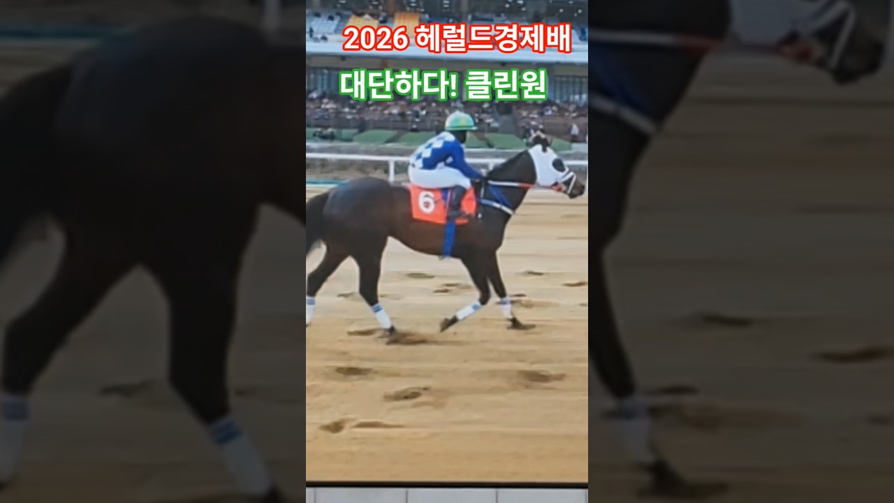 말이 알아서 가네~^^#경마 #말 #대상경주 #달려라말 #shorts #horse