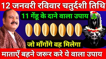 12 जनवरी पौषमास रविवार चतुर्दशी तिथि को 11 गेहूं के दाने वाला उपाय जरूर करे || Pradeep Ji Mishra