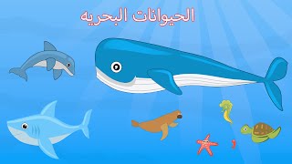 الحيوانات البحريه للاطفال / علم اهم انواع الكائنات البحرية / الكائنات البحريه / #sea_animals