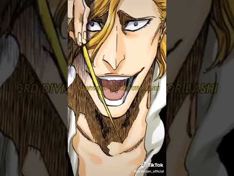 the new gotei