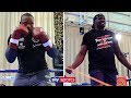 PUBLIC WORKOUT! Dillian Whyte vs Derek Chisora 💪