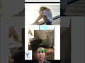 Переосмислення минулого: любов, уроки та батьківство #shorts