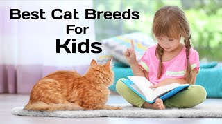 best cat breeds for kids