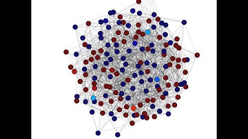 An animation of polarized social influence among contrary actors in a social network