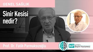 Sinir Kesisi nedir?