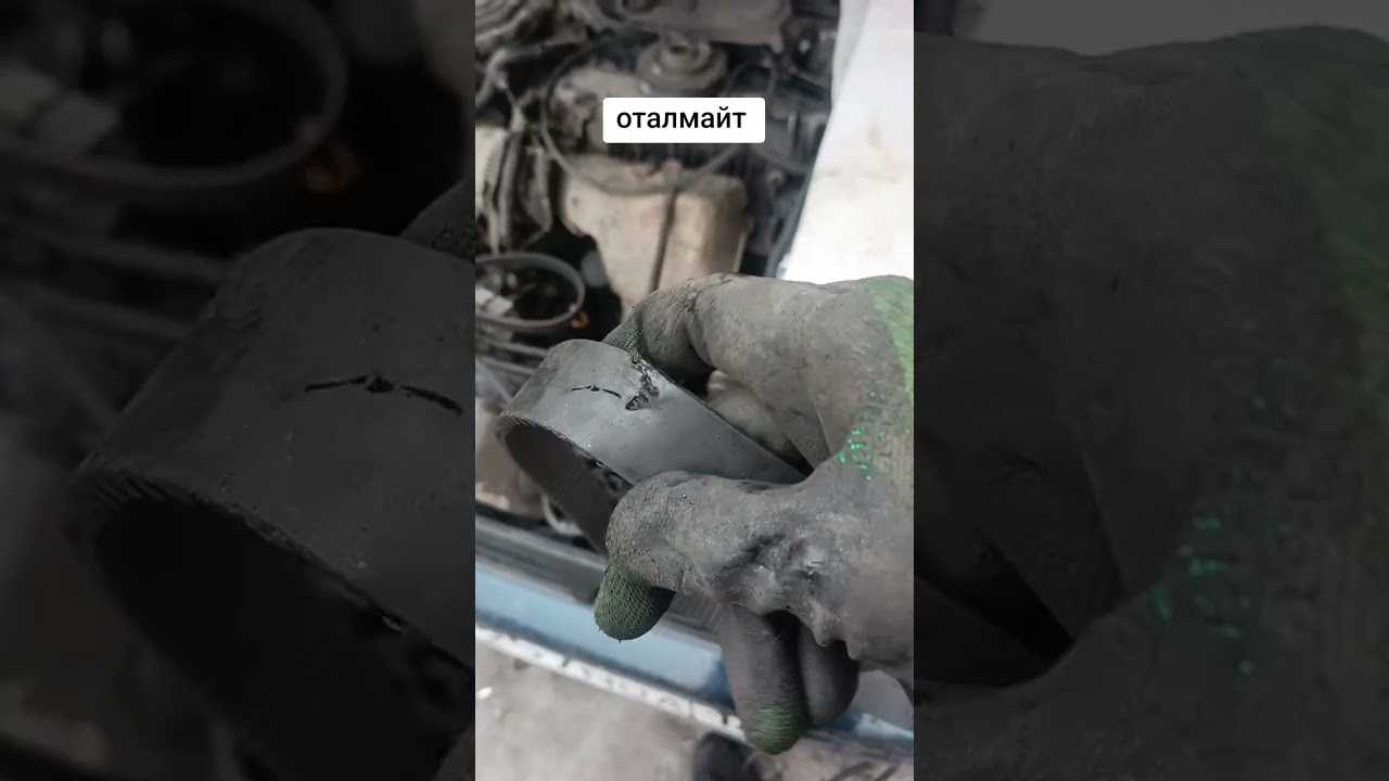 1. Карина е оталмайт.2 Прадик троит