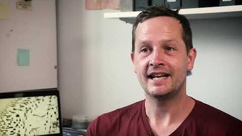 Jonathan Chubb - Professor of Cell Biology - MRC LMCB