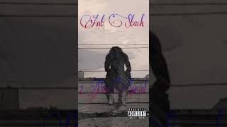 Ant Stack - Icon (CleMix)