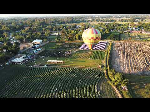 หาช่างภาพ i Love Flower Farm