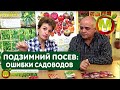 Подзимний посев 🌱 НЕ ДЕЛАЙТЕ ЭТОГО - ОШИБКИ САДОВОДОВ