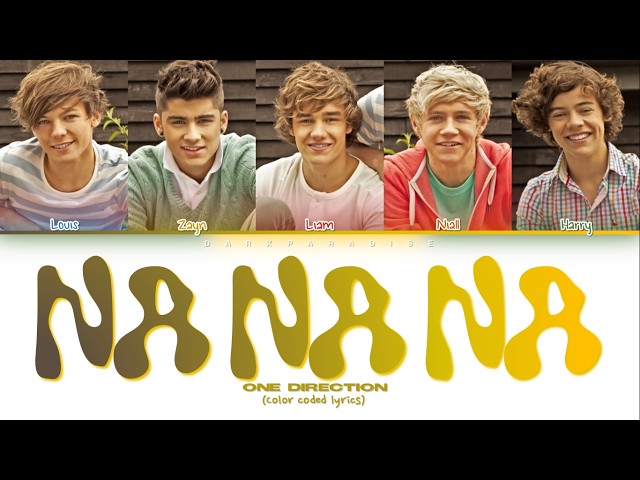 Nanana❤︎さま専用 One Direction - Na Na Na (Color Coded Lyrics) - YouTube