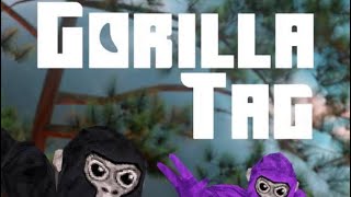 Playing gorilla tag, VR ￼