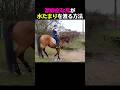 お坊ちゃん育ちの俺がここを通れと…？